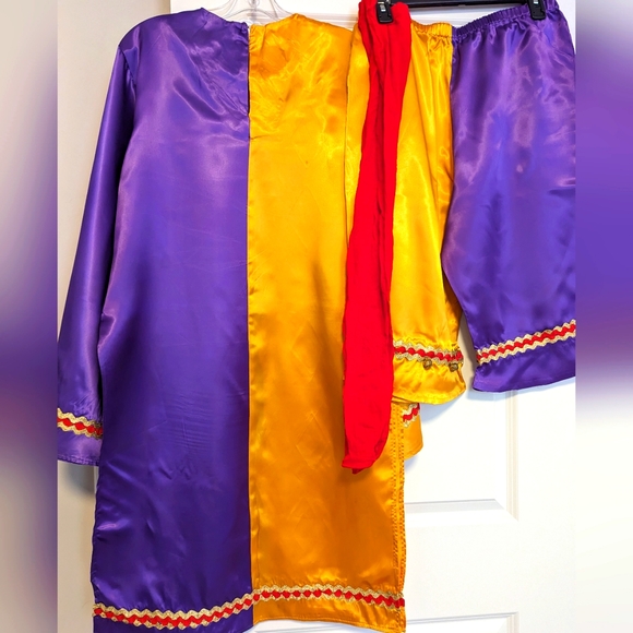 Costume -Handmade-Large-Court Jester-Top, Stockings,Pants,Hat - Picture 2 of 4